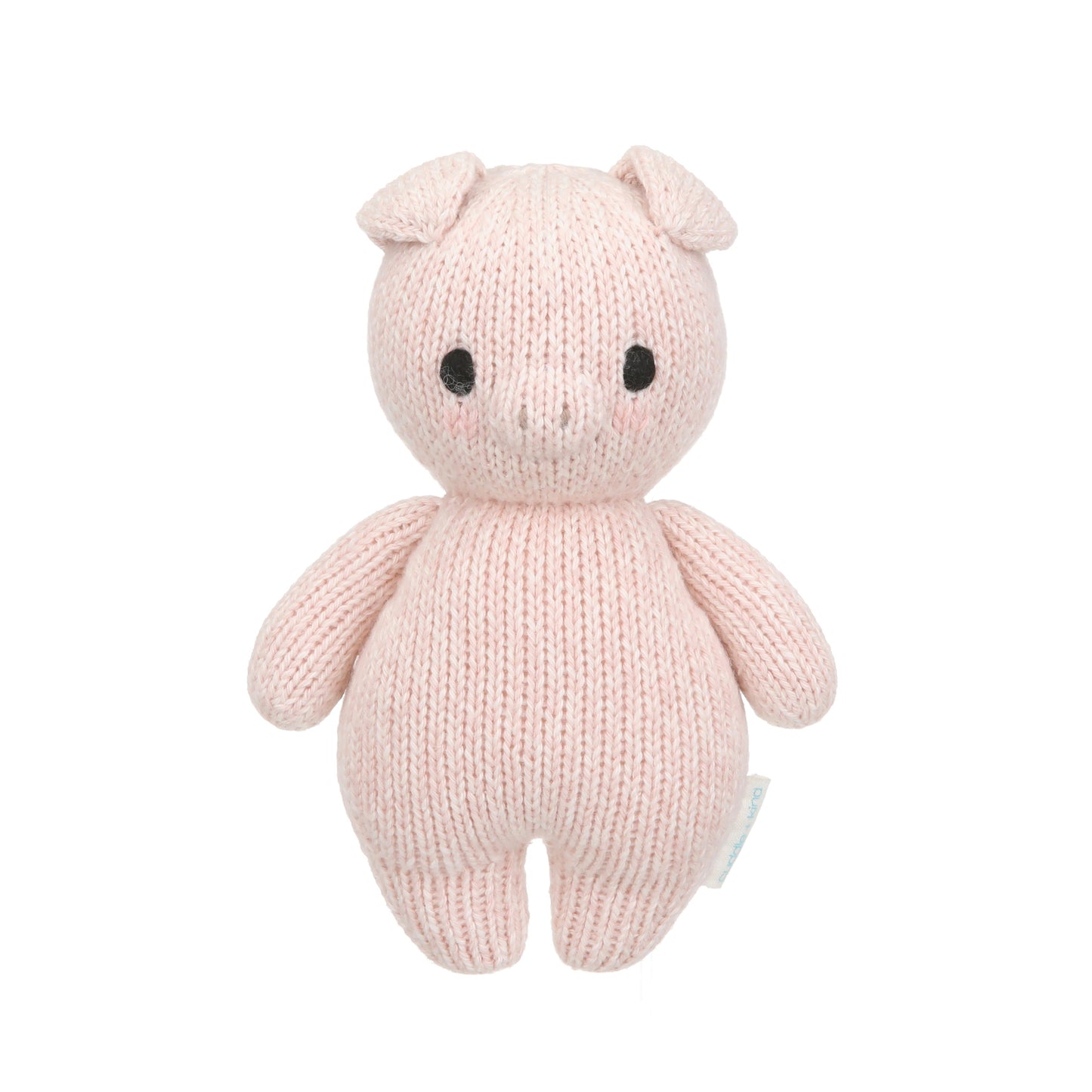 Baby piglet