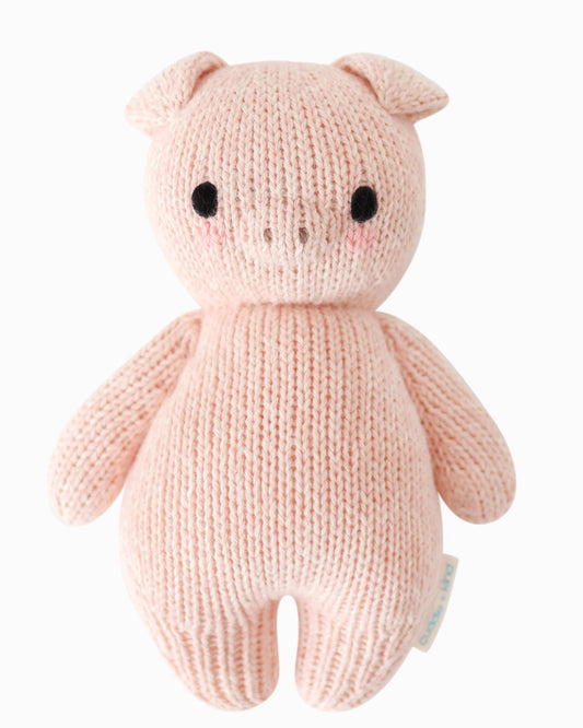 Baby piglet